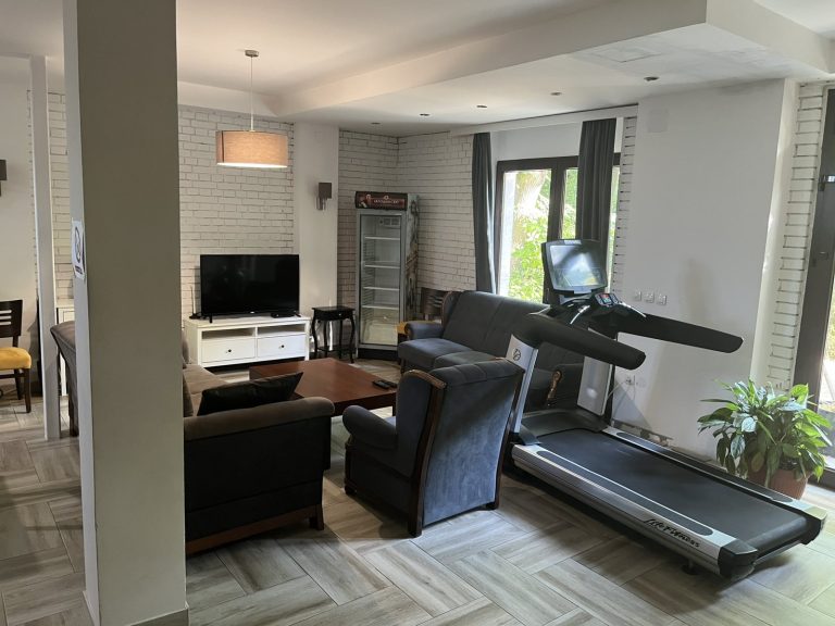 apartman-pretnica-valjevo-prenociste-simic-dnevni-boravak-3