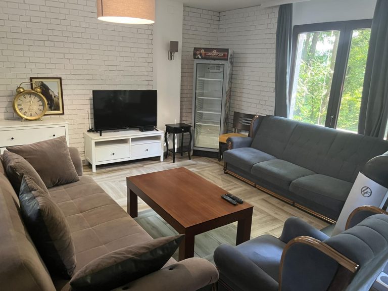 apartman-pretnica-valjevo-prenociste-simic-dnevni-boravak-4